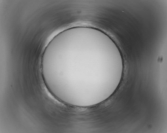 X0000113131382200909040922