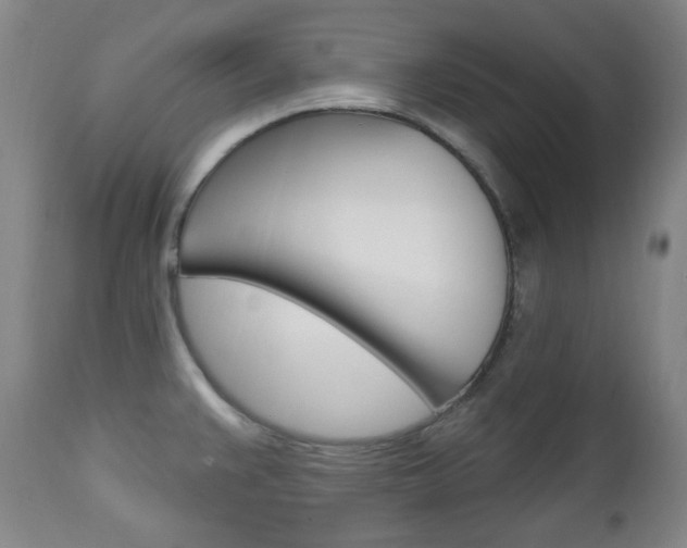 X0000113131383200909040922
