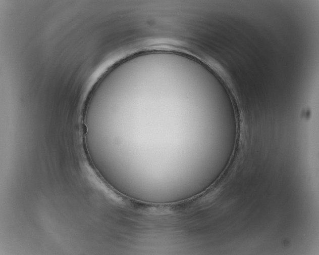 X0000113131384200909040922