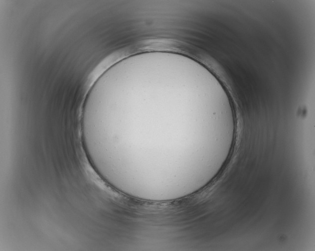 X0000113131386200909040922