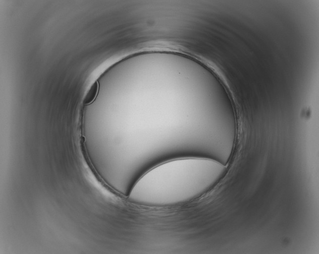 X0000113131387200909040922