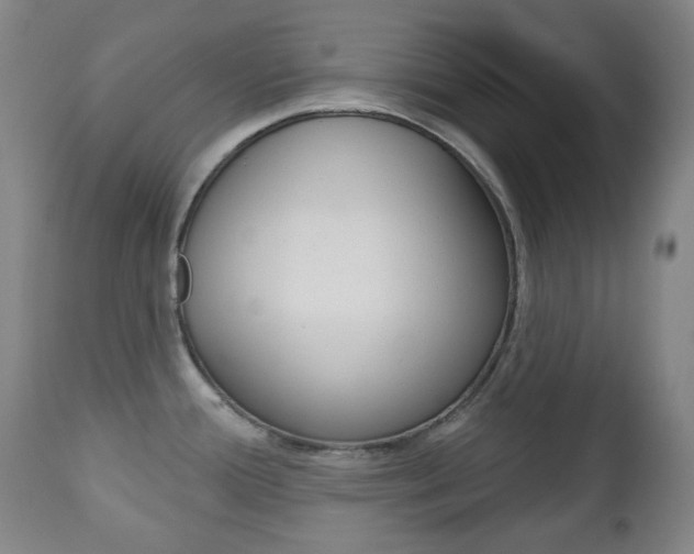 X0000113131388200909040922