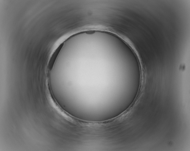 X0000113131389200909040922