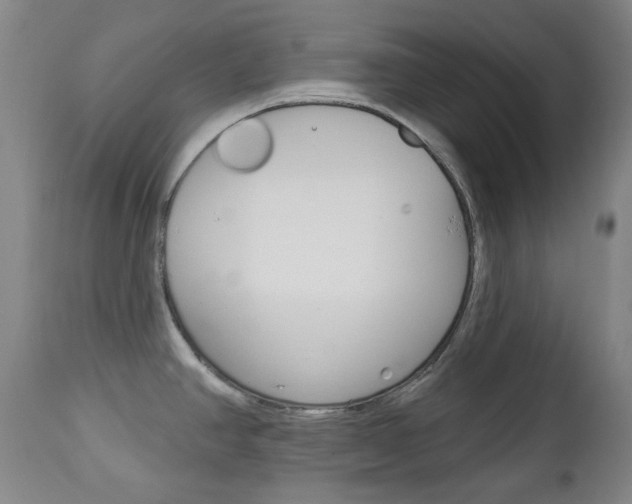 X0000113131390200909040922