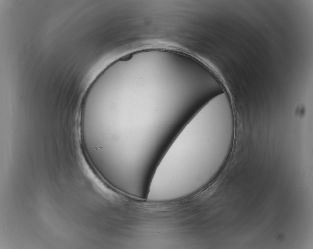 X0000113131391200909040922