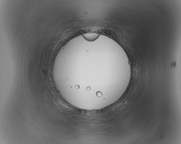 X0000113131393200909040921