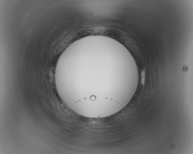 X0000113131395200909040921