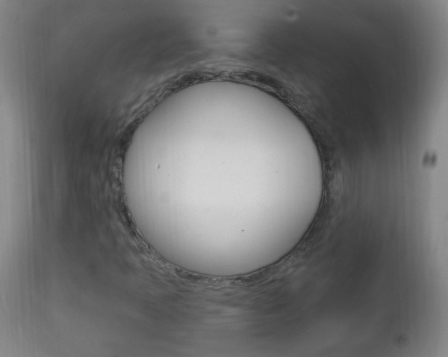 X0000113131397200909040921
