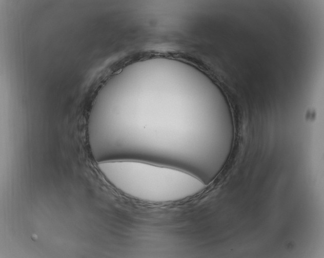 X0000113131398200909040921