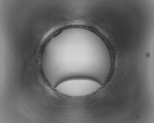 X0000113131400200909040921