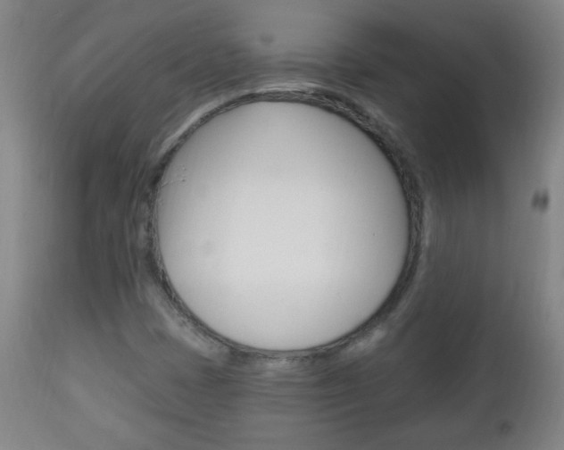 X0000113131401200909040921
