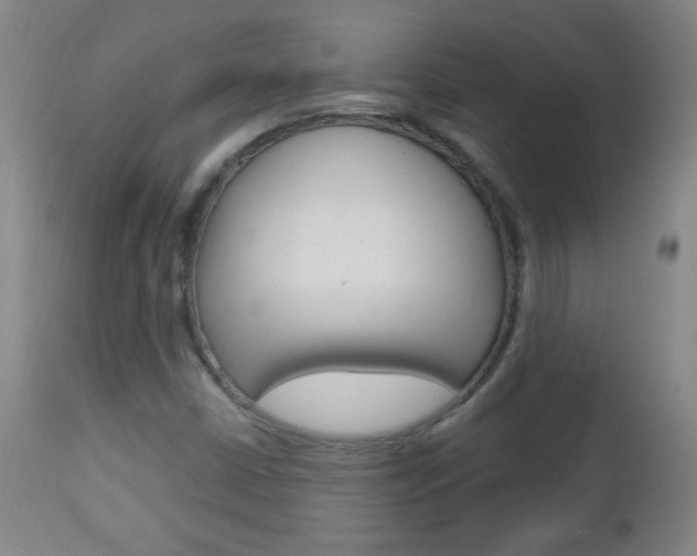 X0000113131402200909040921