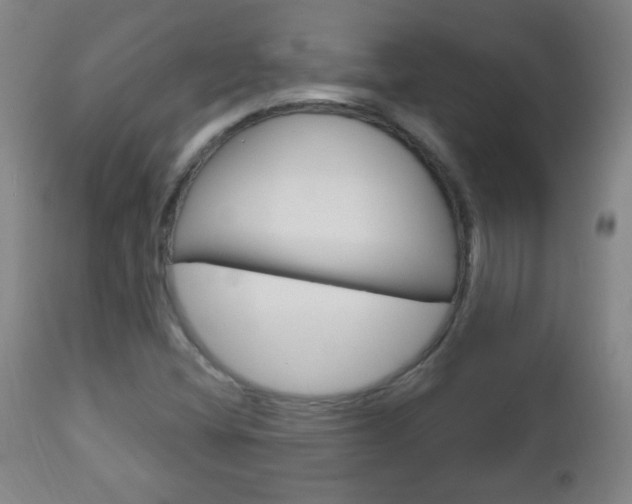 X0000113131404200909040921