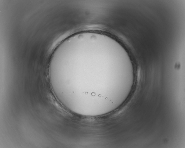 X0000113131405200909040921