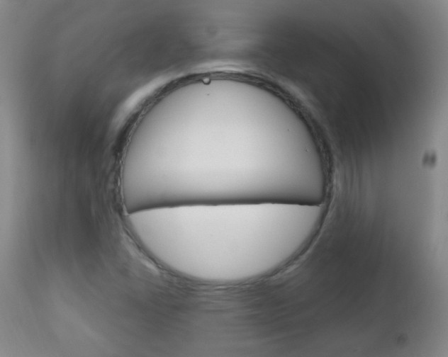 X0000113131406200909040922