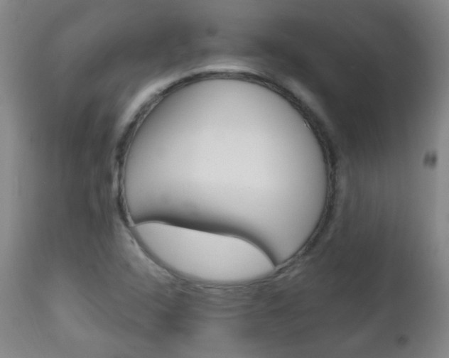 X0000113131408200909040922