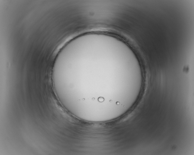 X0000113131409200909040922