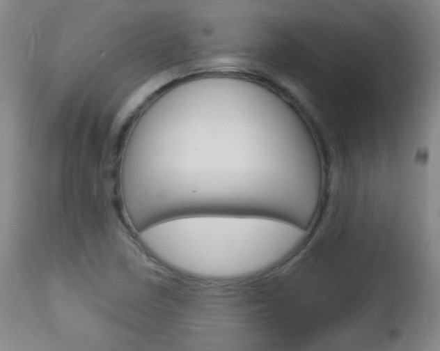 X0000113131410200909040922