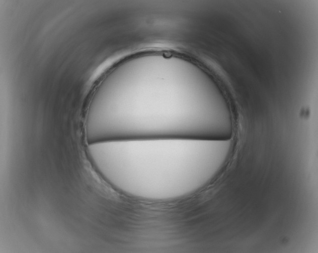 X0000113131412200909040922