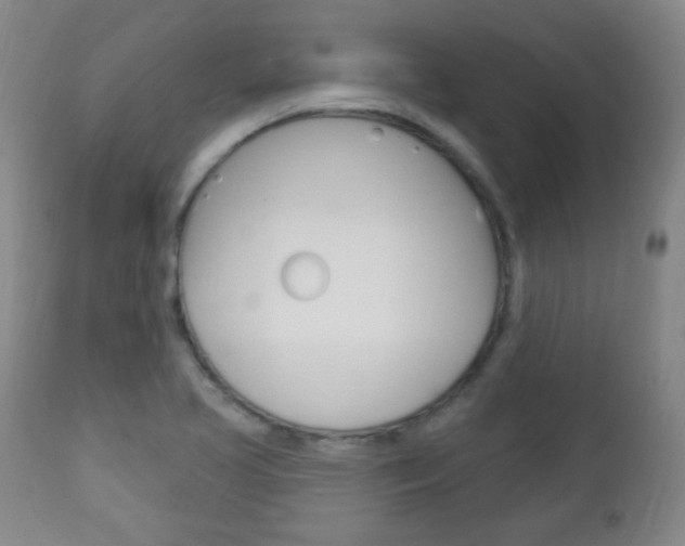 X0000113131413200909040922