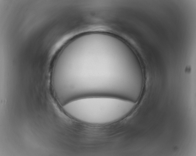 X0000113131414200909040922