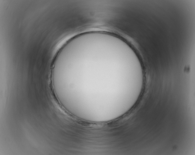 X0000113131415200909040922