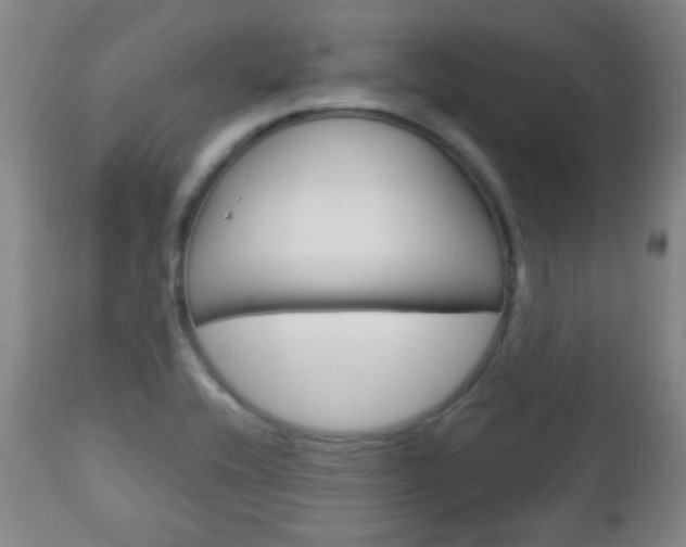 X0000113131416200909040922