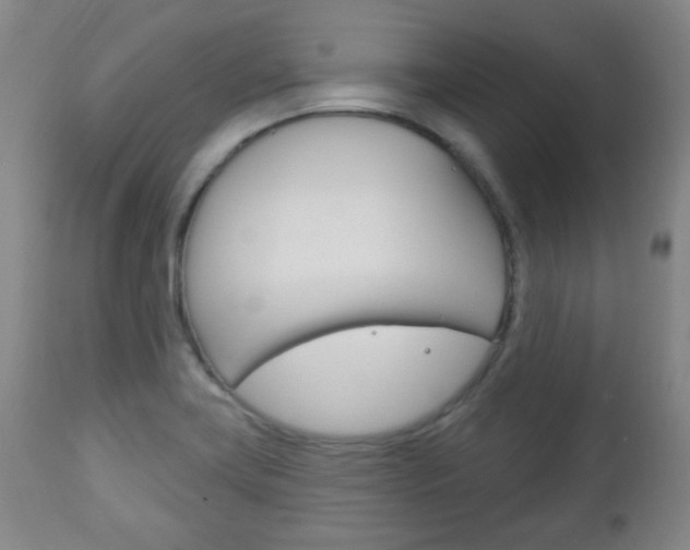 X0000113131419200909040922
