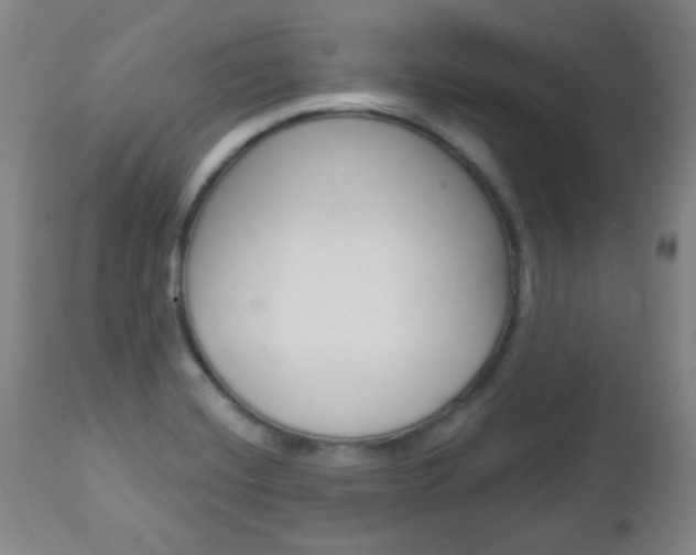 X0000113131420200909040922
