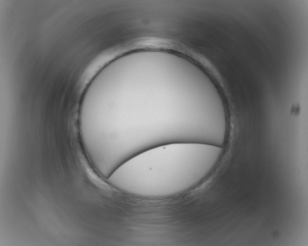 X0000113131421200909040922