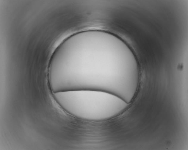 X0000113131423200909040922