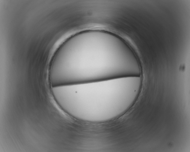 X0000113131424200909040922