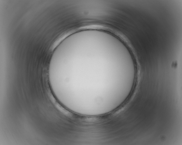 X0000113131425200909040922