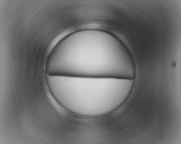 X0000113131426200909040922