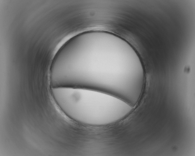 X0000113131428200909040922
