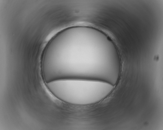 X0000113131430200909040922
