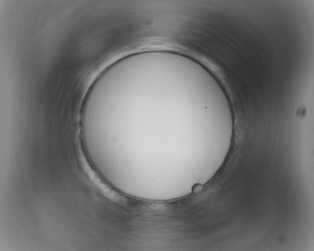 X0000113131431200909040922