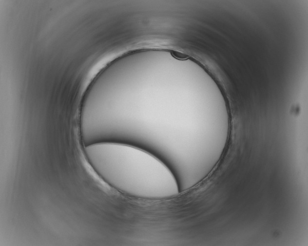 X0000113131432200909040922