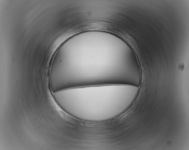 X0000113131434200909040922