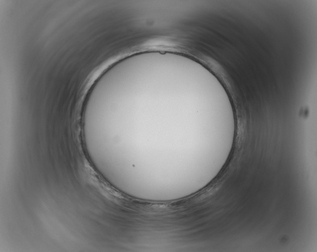 X0000113131435200909040922
