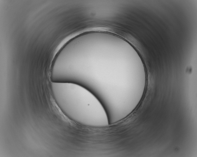 X0000113131436200909040922