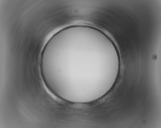 X0000113131437200909040922