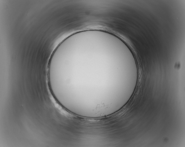 X0000113131439200909040922