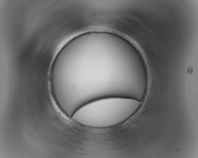 X0000113131440200909040922