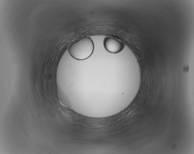 X0000113131441200909040921