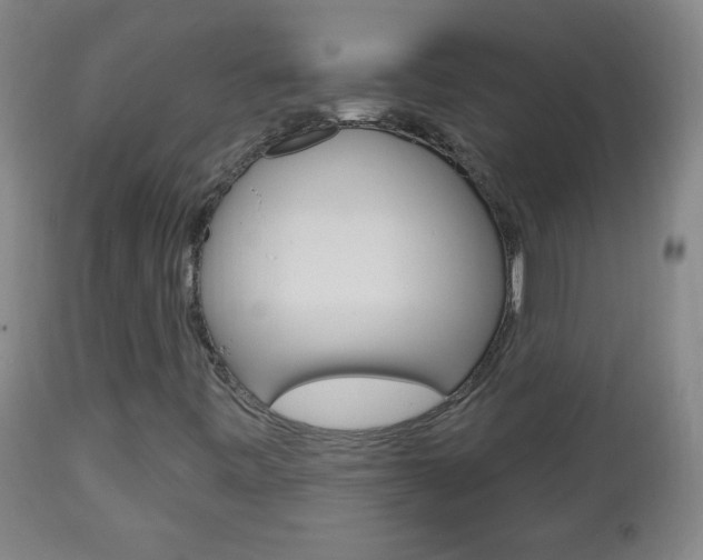 X0000113131443200909040921