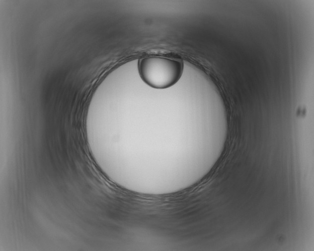 X0000113131444200909040921