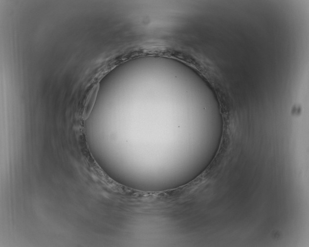 X0000113131445200909040921