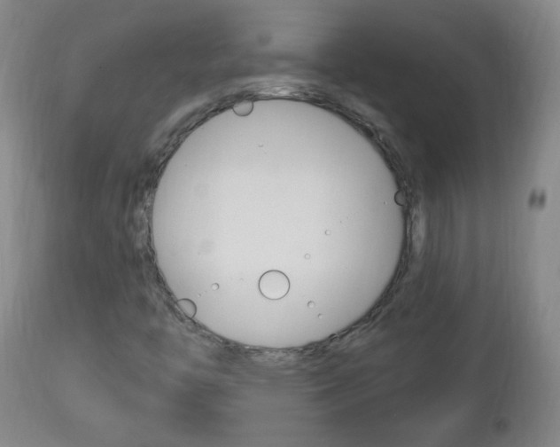 X0000113131446200909040921
