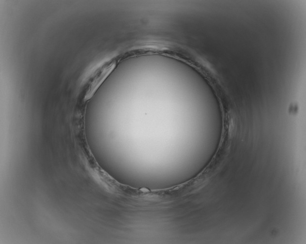 X0000113131448200909040921